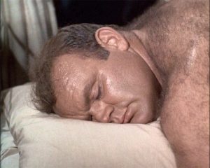 1004949_1452498021629913_1053073289_n