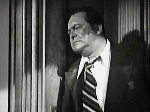 16 eyes-in-the-night-arnold-01