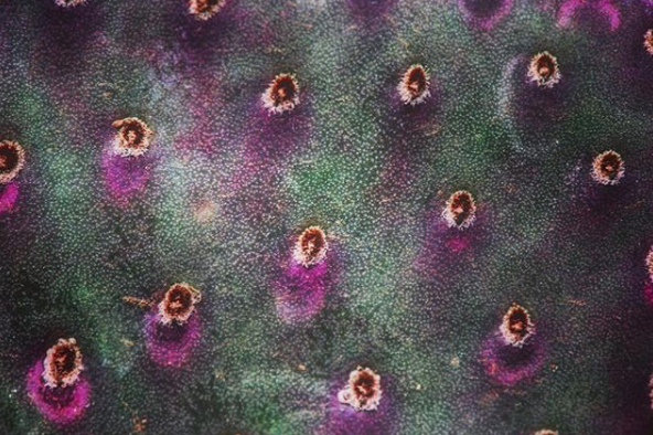 Captura de pantalla 2018-06-06 a las 21.44.45