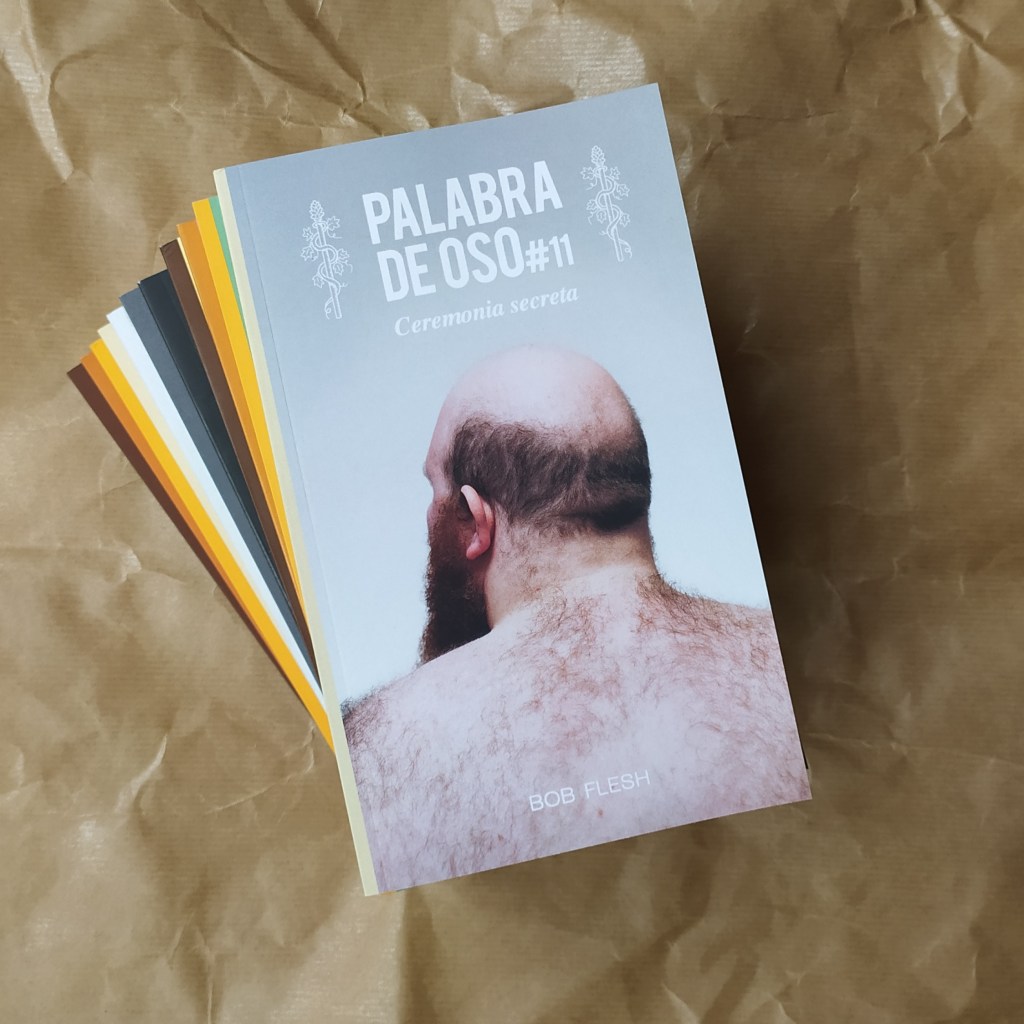 Novelas de osos para el Día del&nbsp;Libro